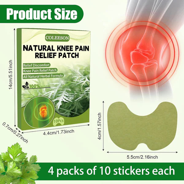 HealPatch™ - Natural Knee Pain Relief Patches Buy 10 + Get 10 FREE